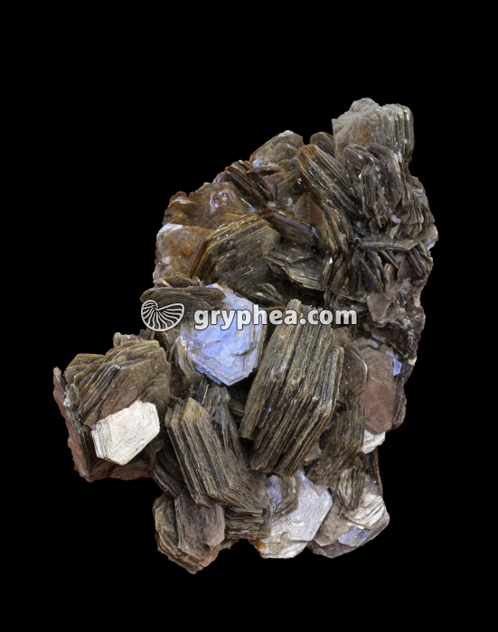 Muscovite (automorphe) - gryphea.com